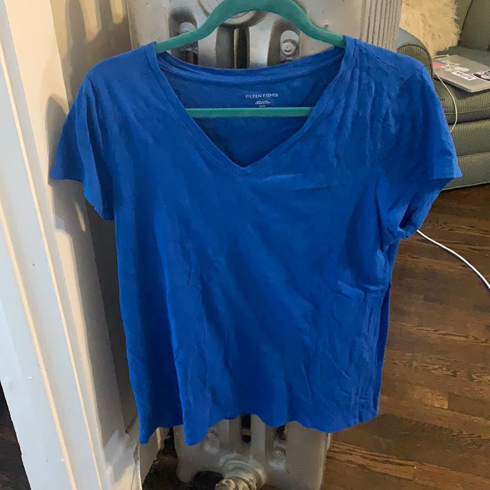 Eileen Fisher Blue V Neck
